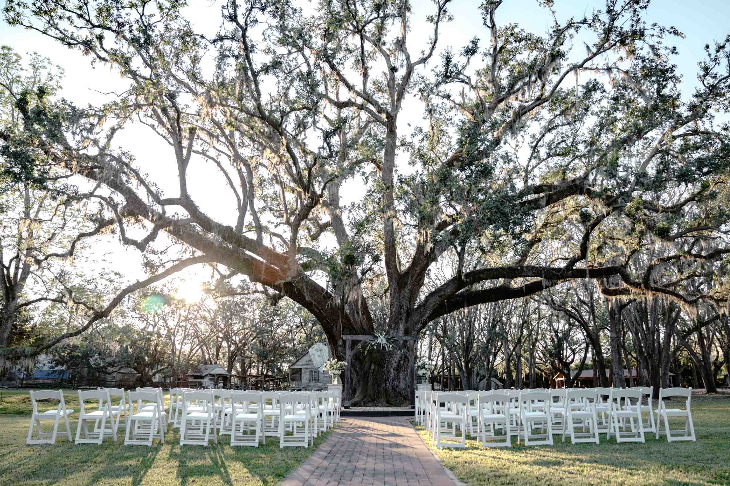 Big oak tree at wedding ceremony at Destrehan Plantation in Louisiana